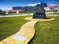 舟山天华矿业集团